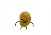 Potato